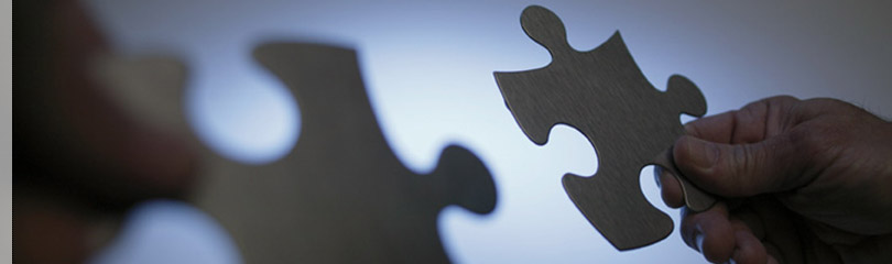 logo della sezione privacy